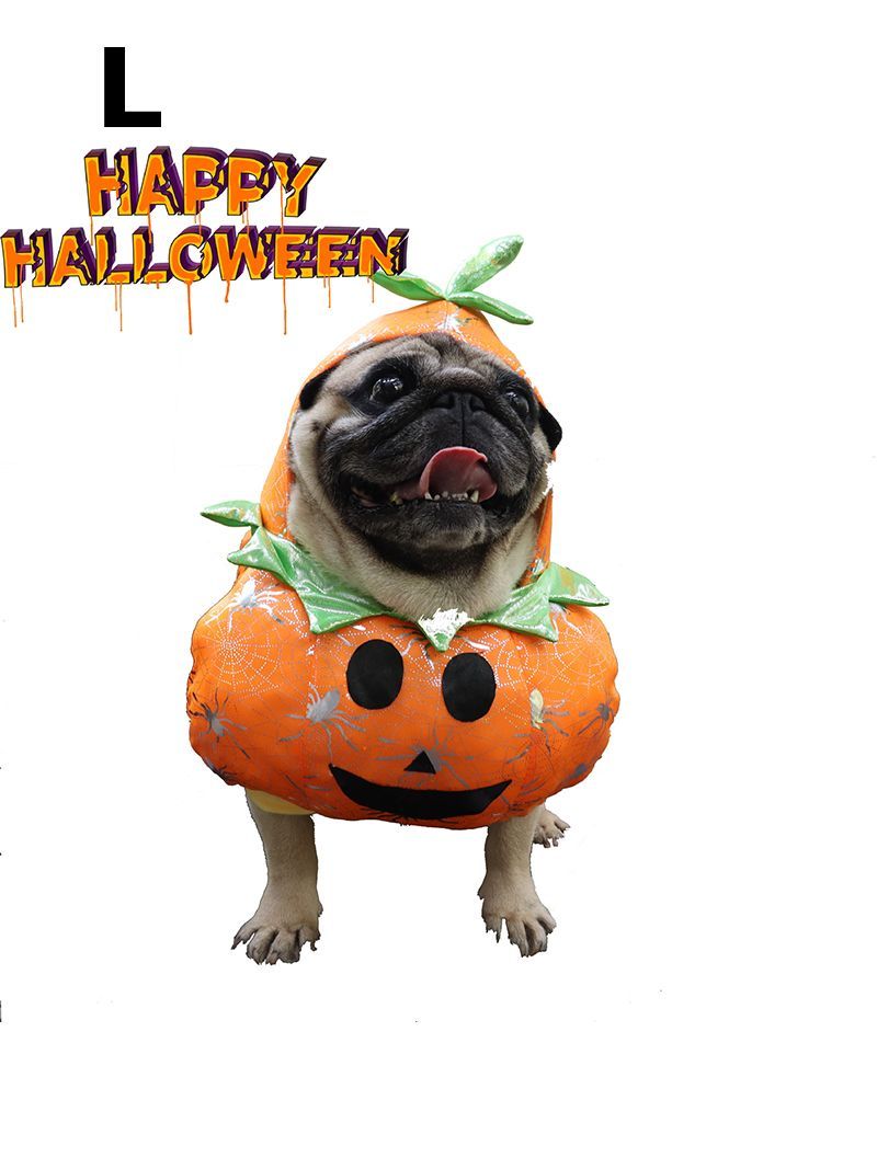 Костюм Для Кота Смешной