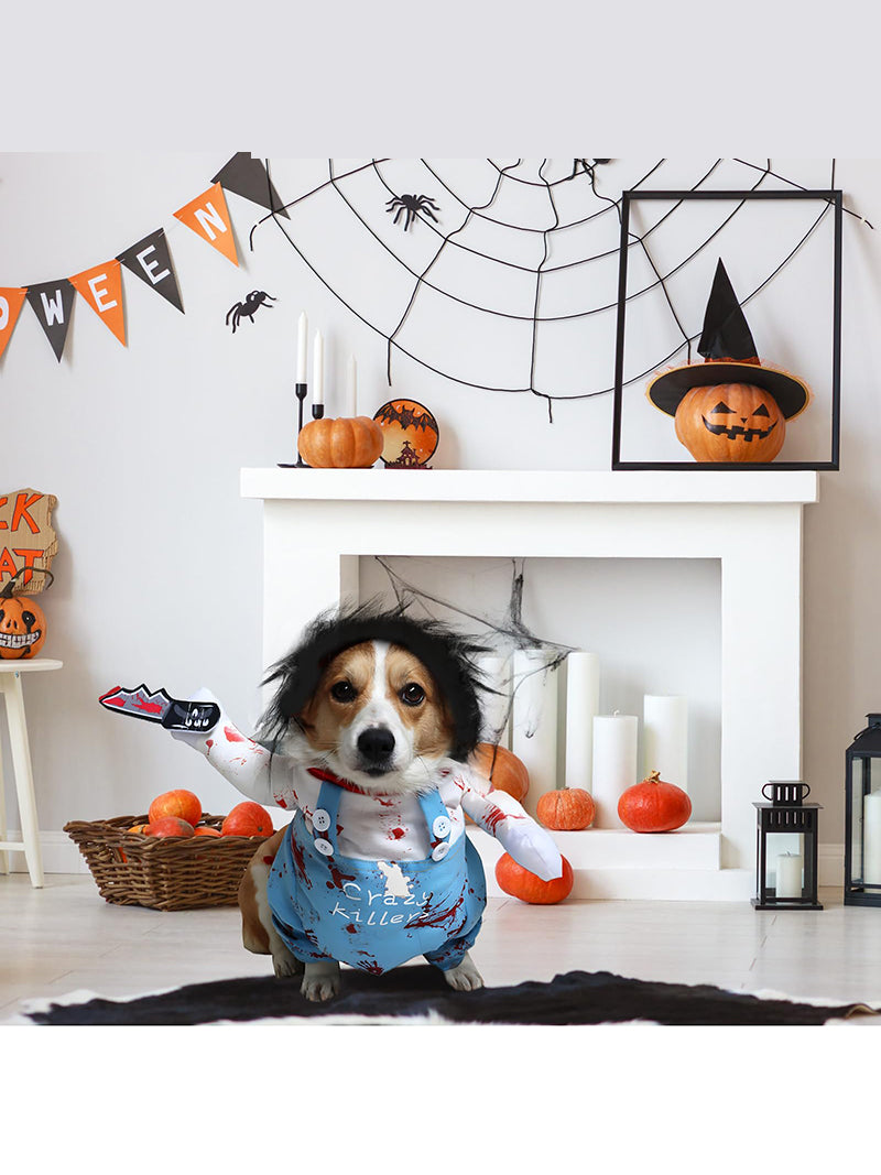 Костюм Для Кота Смешной