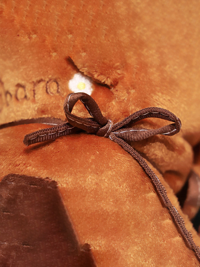 Плед С Капибарой