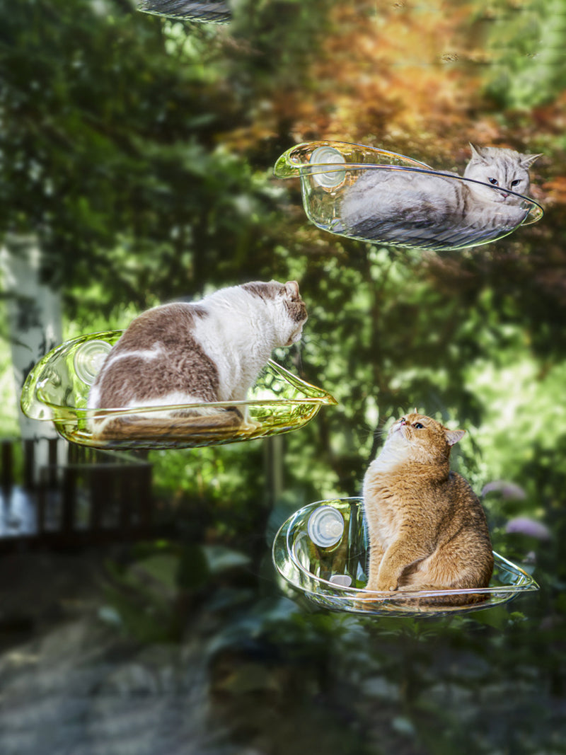 Гамак Для Кошек На Окно