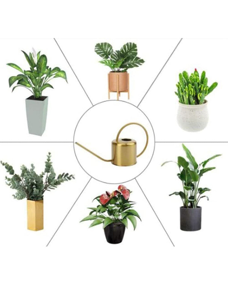 Лейка Для Цветов Комнатных