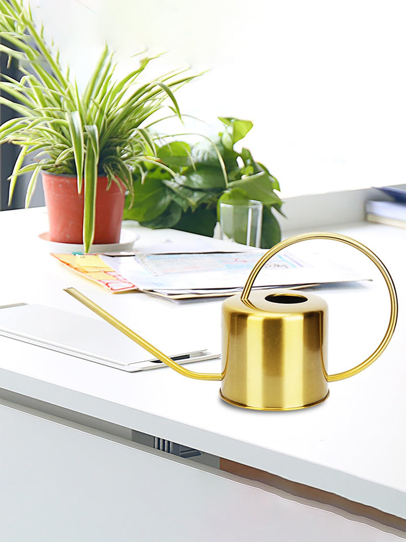 Лейка Для Цветов Комнатных