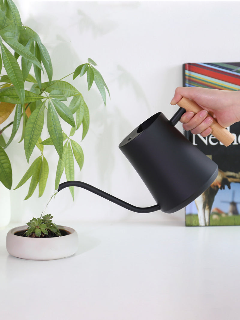 Лейка Для Цветов Комнатных