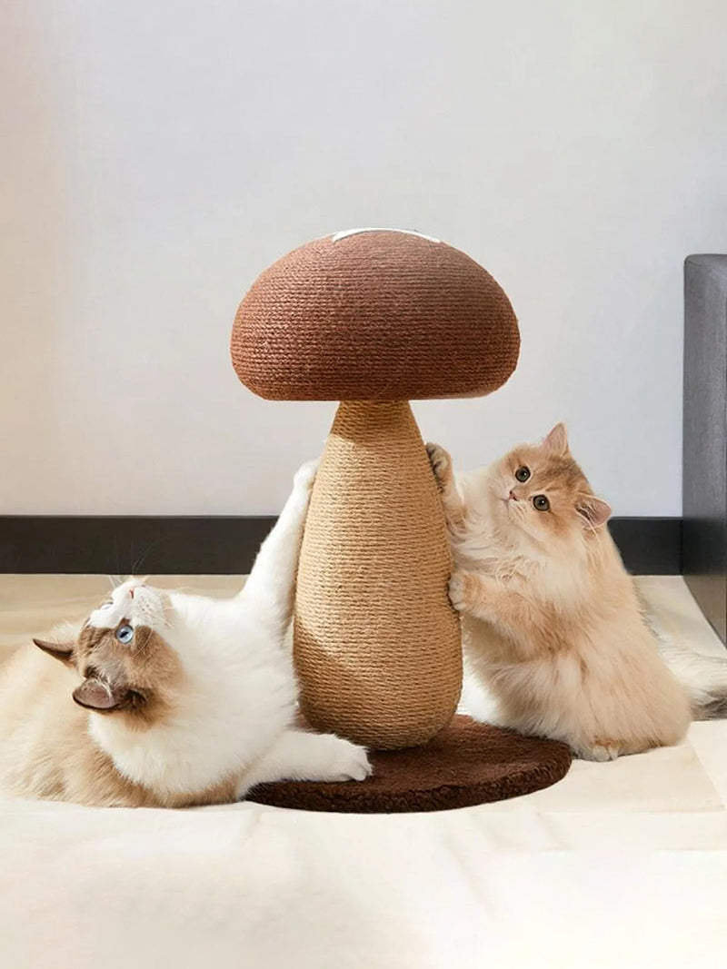 Когтеточка Динозавр