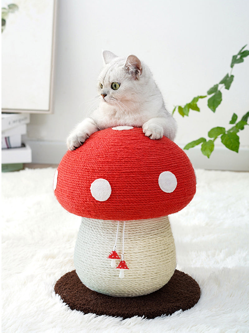 Когтеточка Динозавр