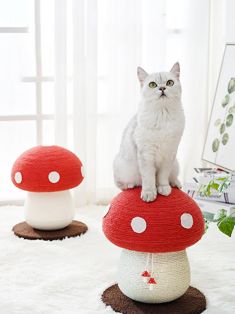 Когтеточка Динозавр