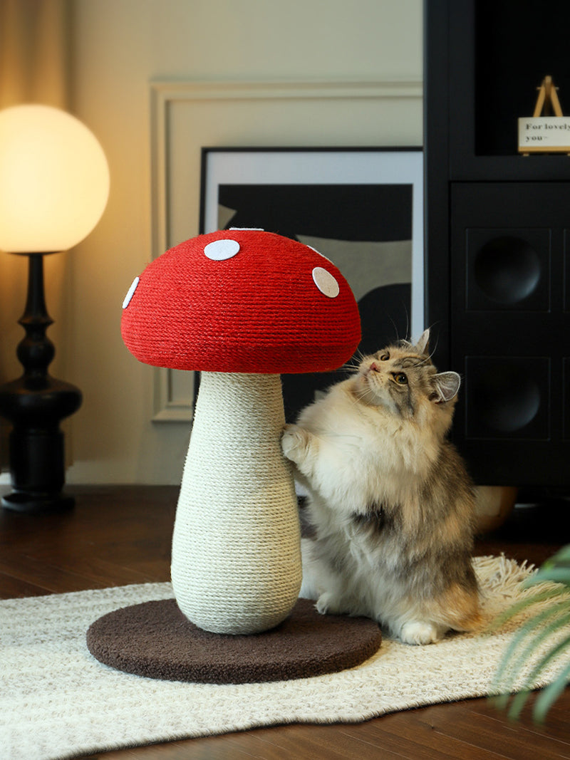 Когтеточка Динозавр