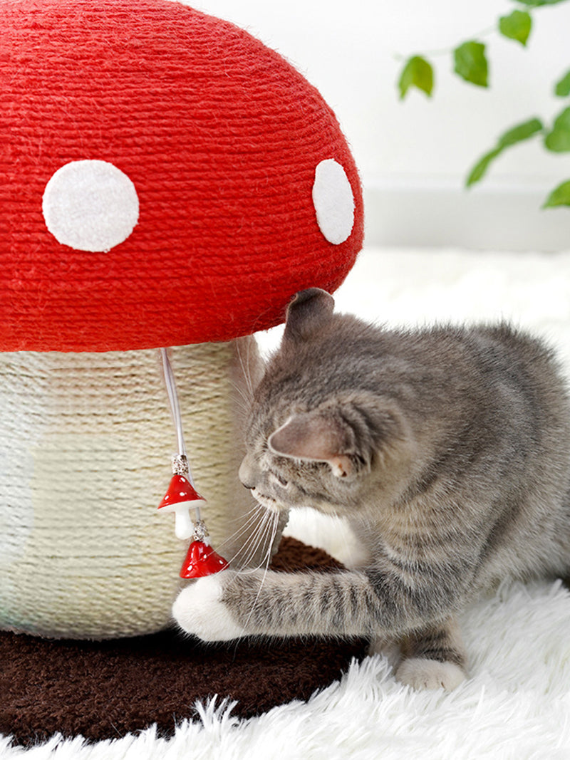 Когтеточка Динозавр