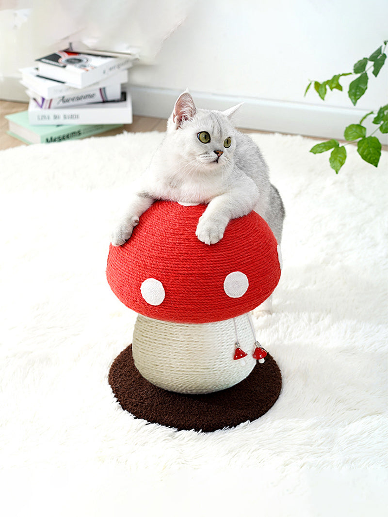 Когтеточка Динозавр