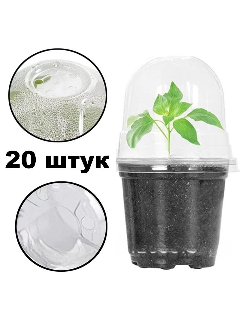 Мини Парник Для Рассады С Крышкой