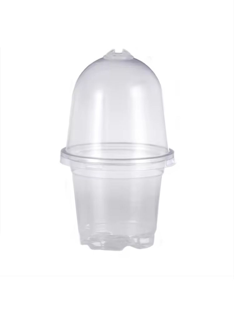 Мини Парник Для Рассады С Крышкой