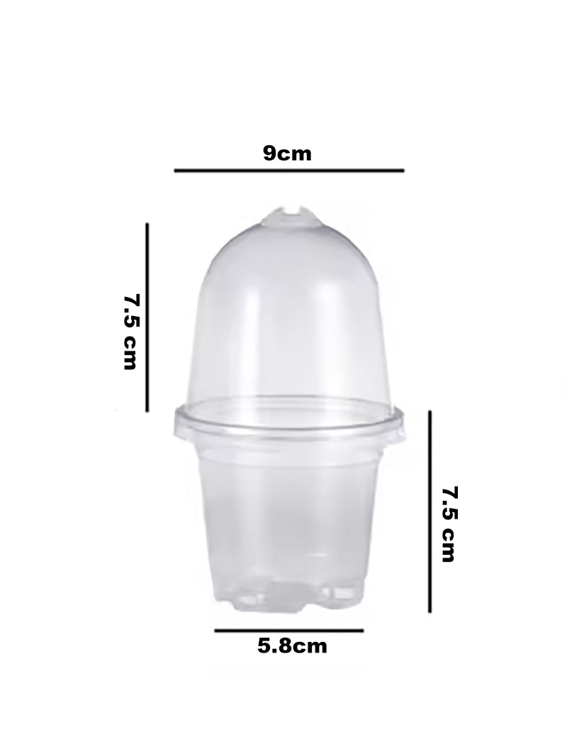 Мини Парник Для Рассады С Крышкой