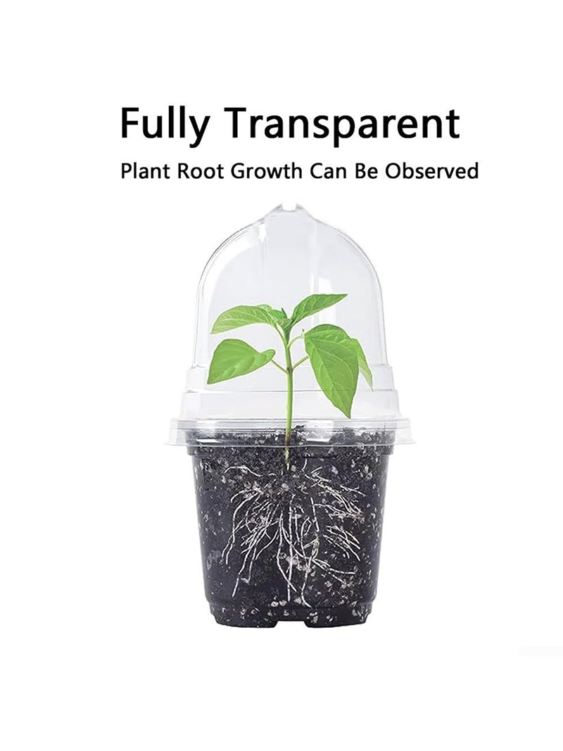 Мини Парник Для Рассады С Крышкой