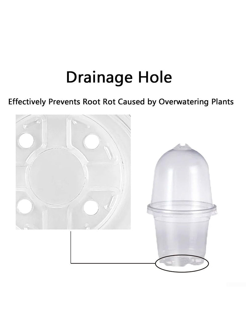 Мини Парник Для Рассады С Крышкой