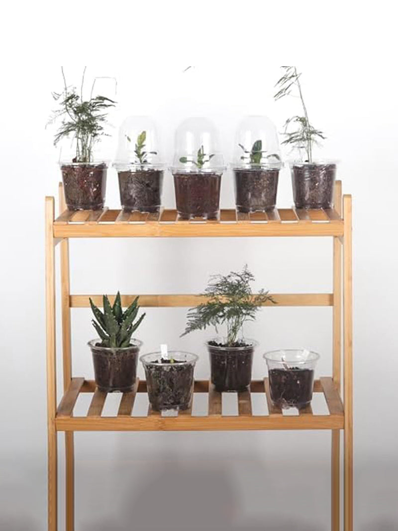 Мини Парник Для Рассады С Крышкой