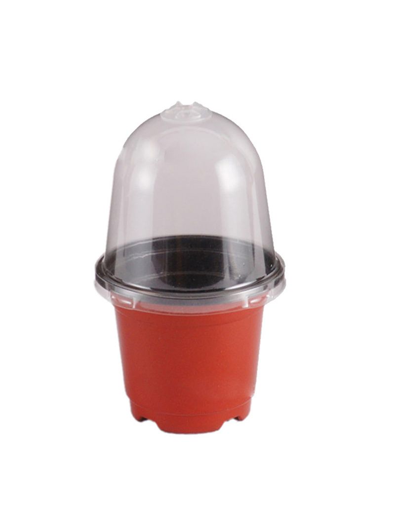 Мини Парник Для Рассады С Крышкой