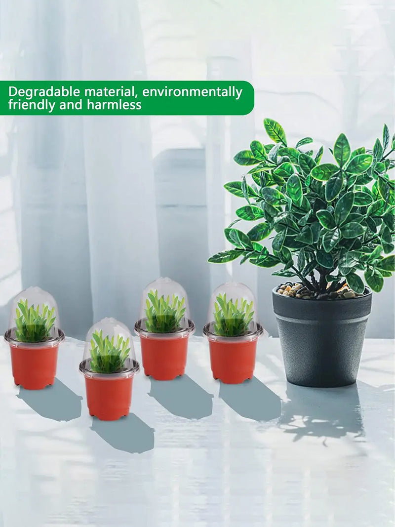 Мини Парник Для Рассады С Крышкой