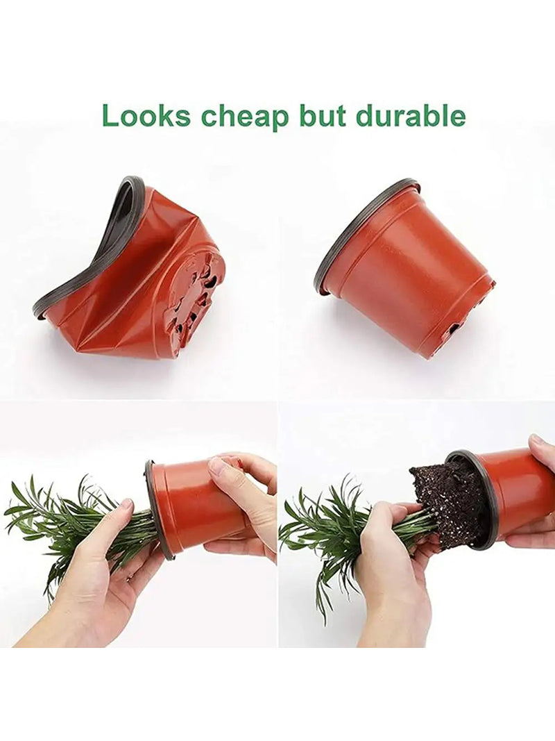 Мини Парник Для Рассады С Крышкой