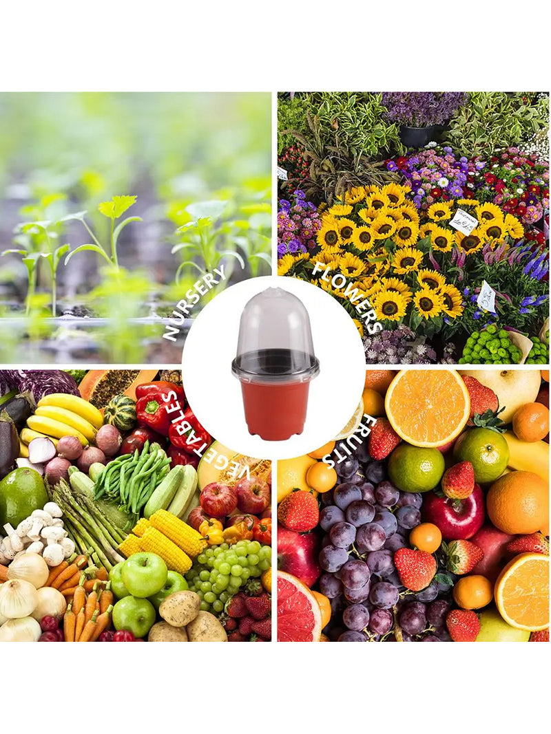 Мини Парник Для Рассады С Крышкой