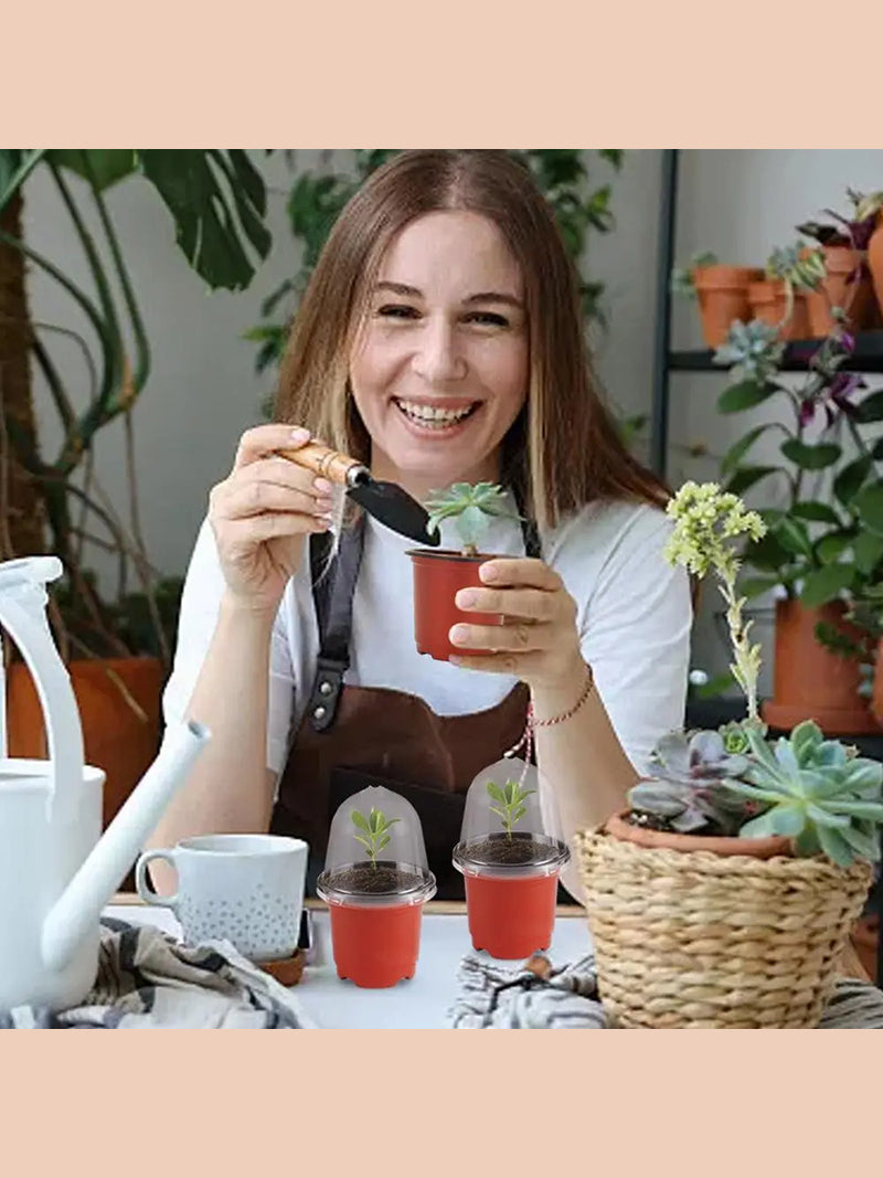 Мини Парник Для Рассады С Крышкой