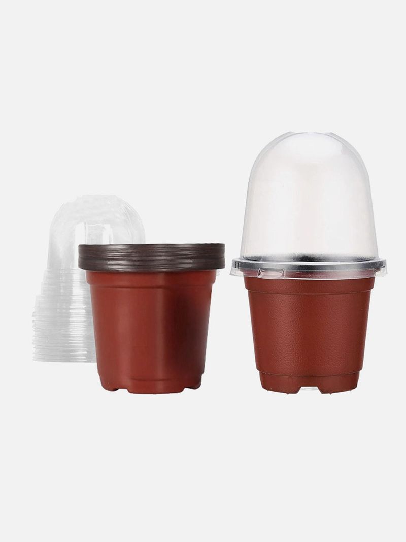 Мини Парник Для Рассады С Крышкой