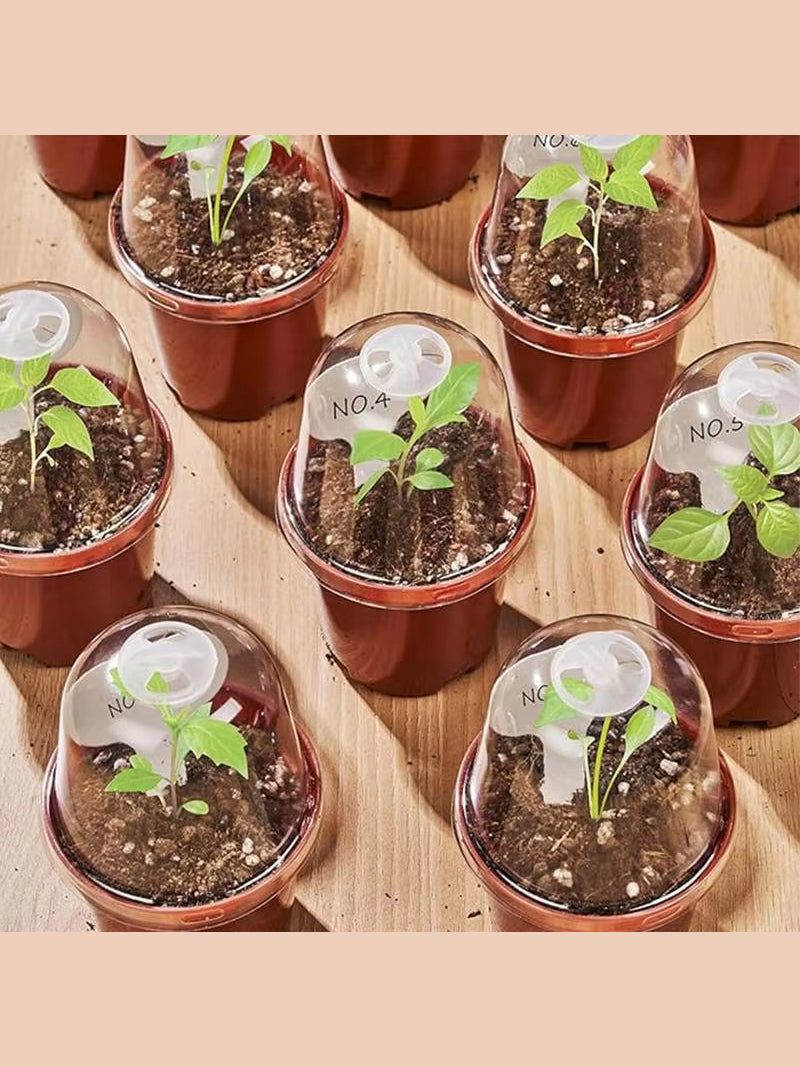 Мини Парник Для Рассады С Крышкой