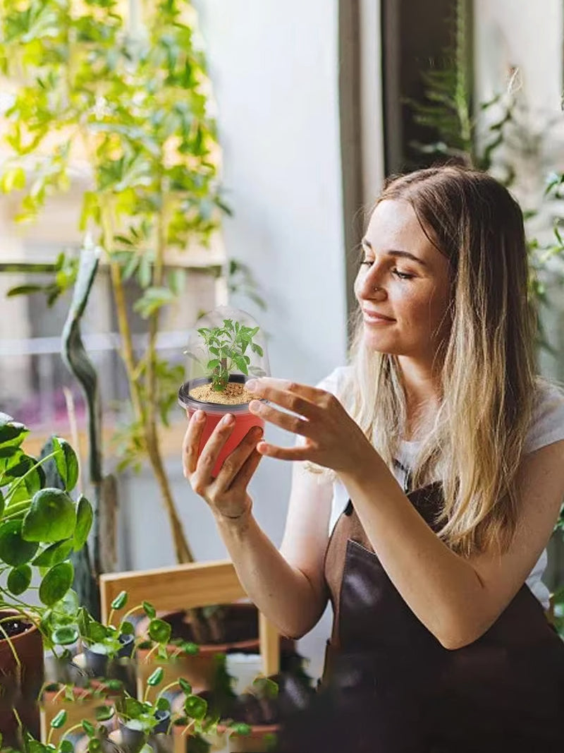 Мини Парник Для Рассады С Крышкой