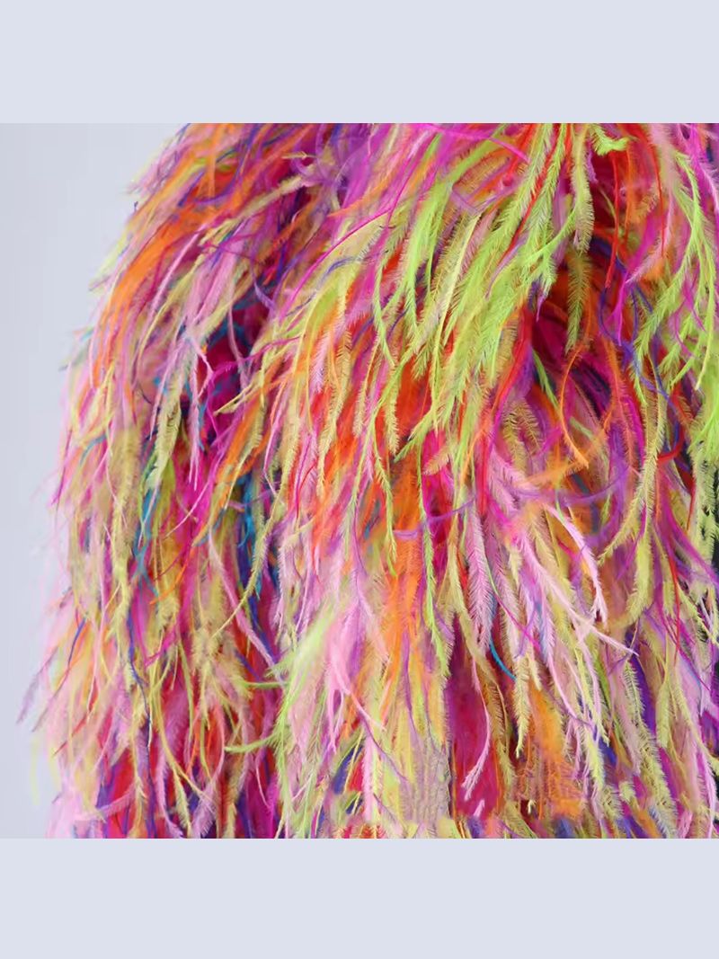 Боа Из Перьев