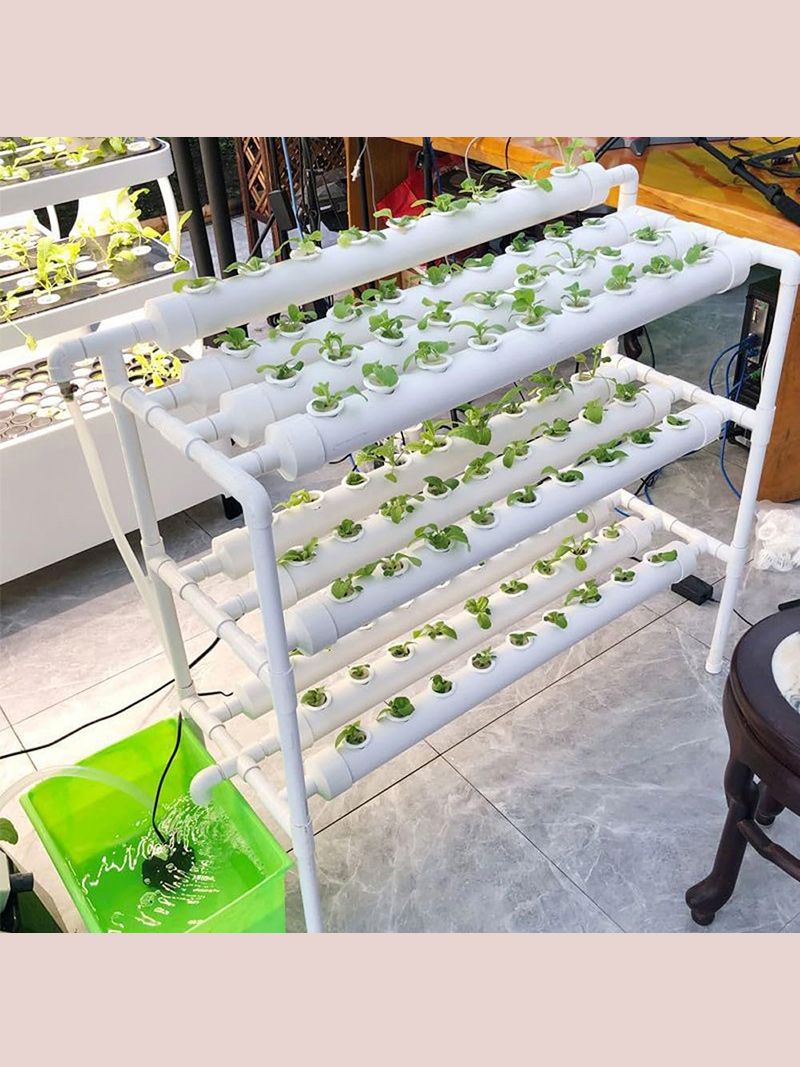 Парник Хлебница