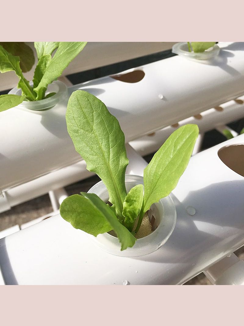 Парник Хлебница