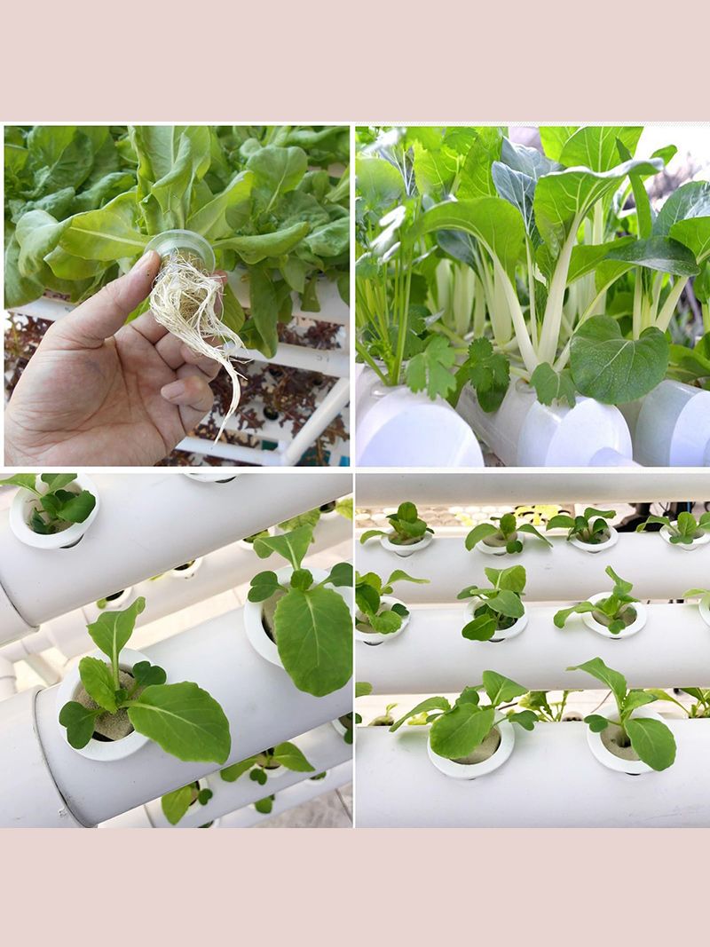 Парник Хлебница