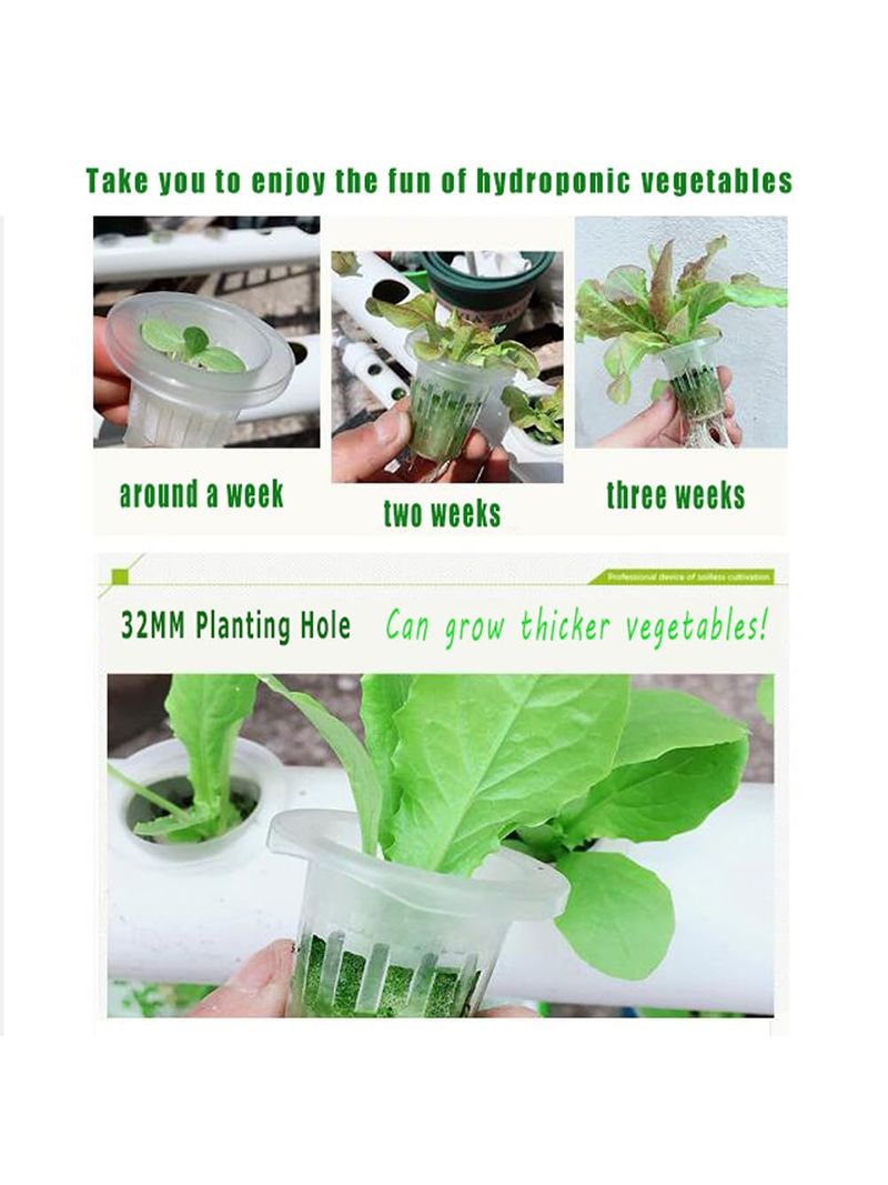 Парник Хлебница