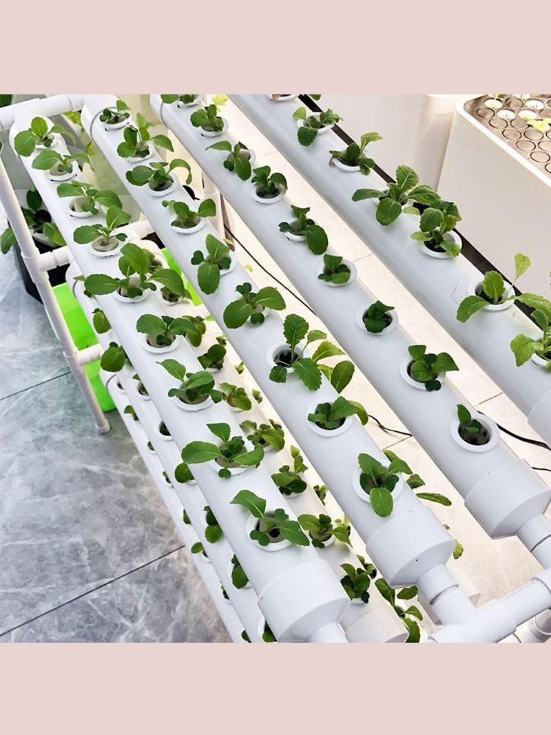 Парник Хлебница