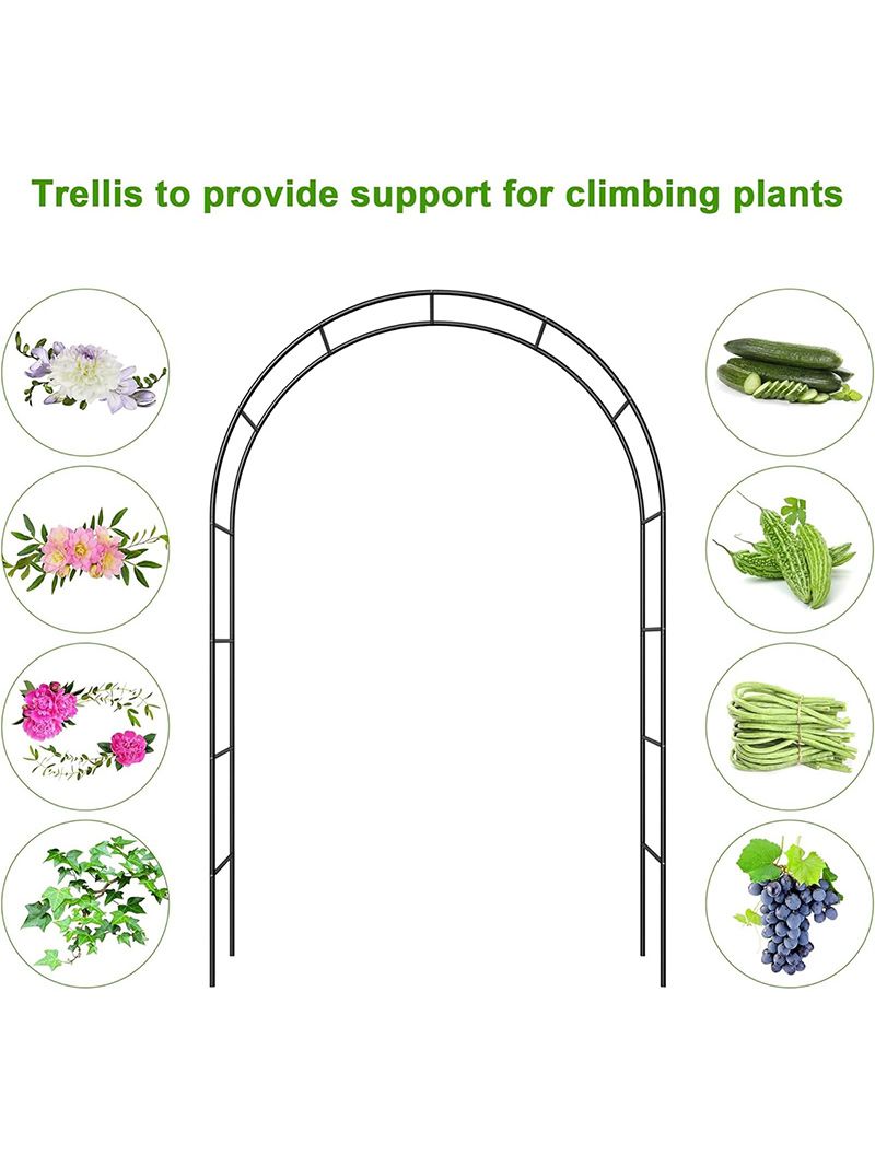Арка Для Клематиса Садовая
