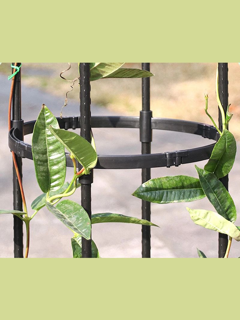 Арка Для Клематиса Садовая