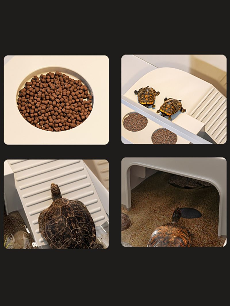 Аквариум Для Черепах Красноухих