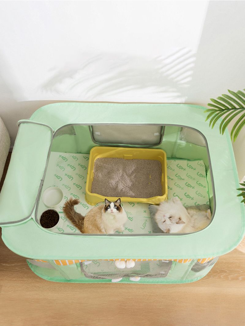 Манеж Для Котят