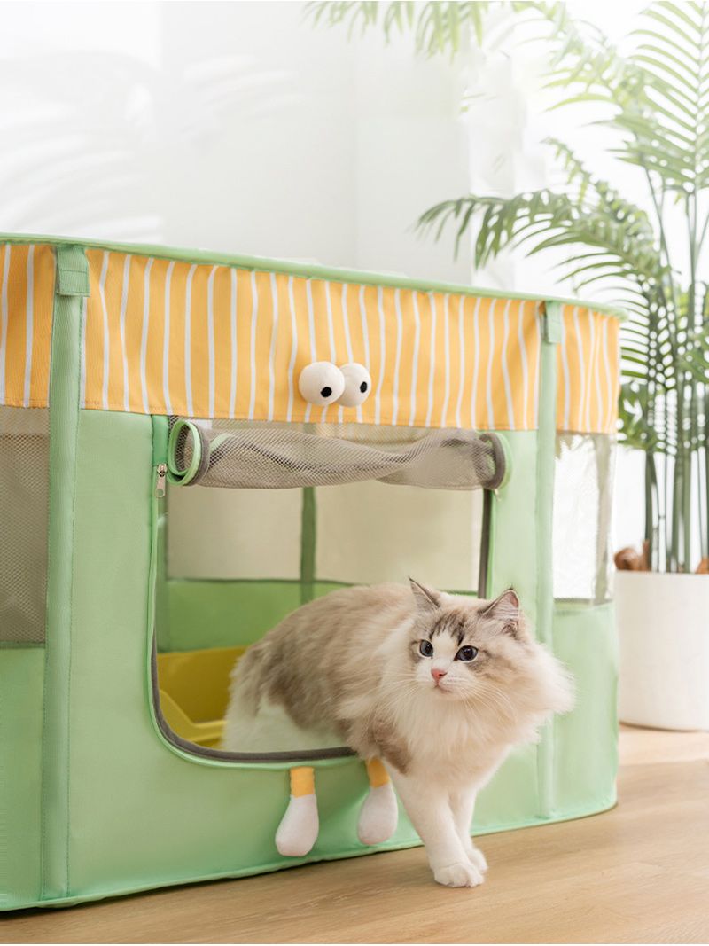 Манеж Для Котят