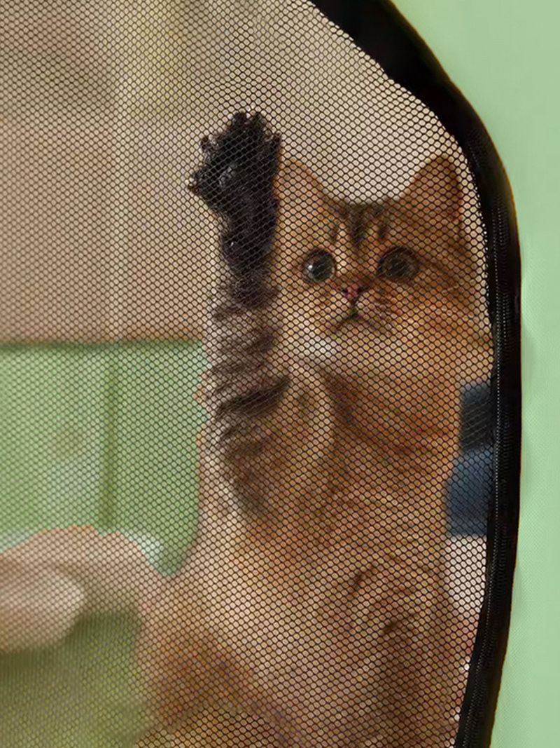 Манеж Для Котят