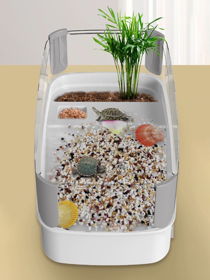 Аквариум Для Черепах Красноухих