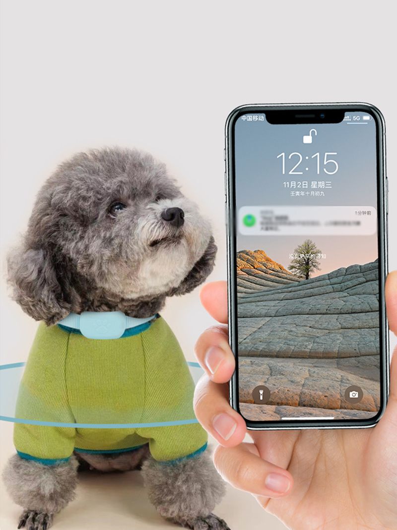 Ошейник С Gps Для Кошек