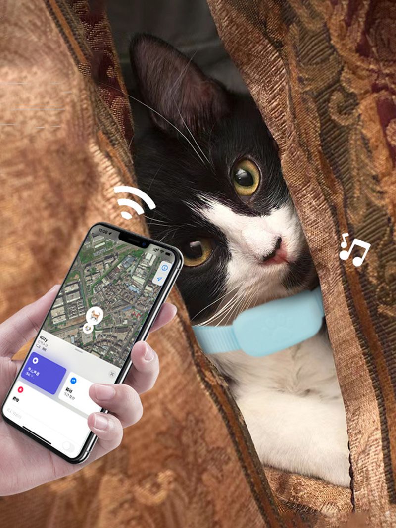 Ошейник С Gps Для Кошек