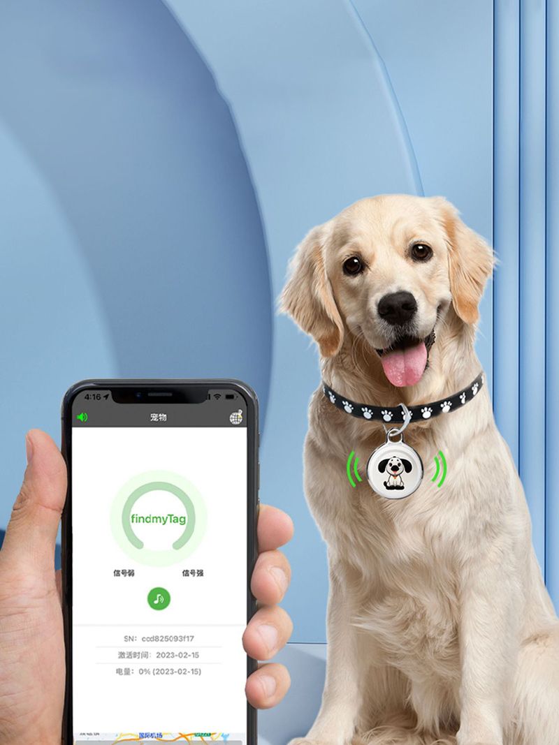 Ошейник С Gps Для Кошек