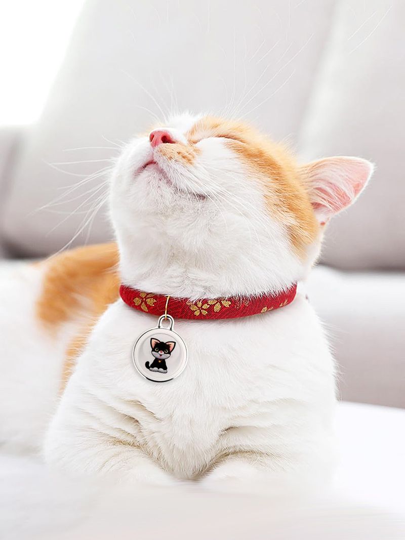 Ошейник С Gps Для Кошек