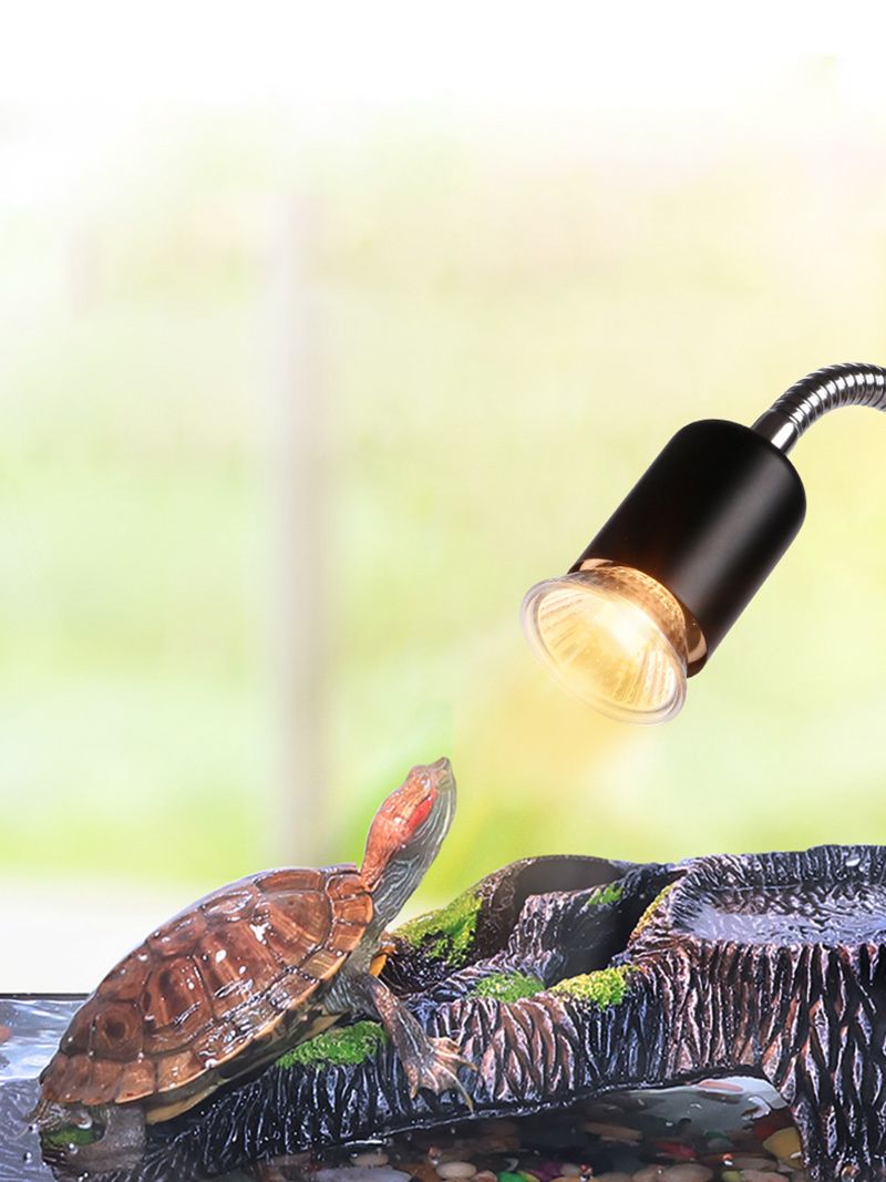 Лампа Для Черепах Красноухих