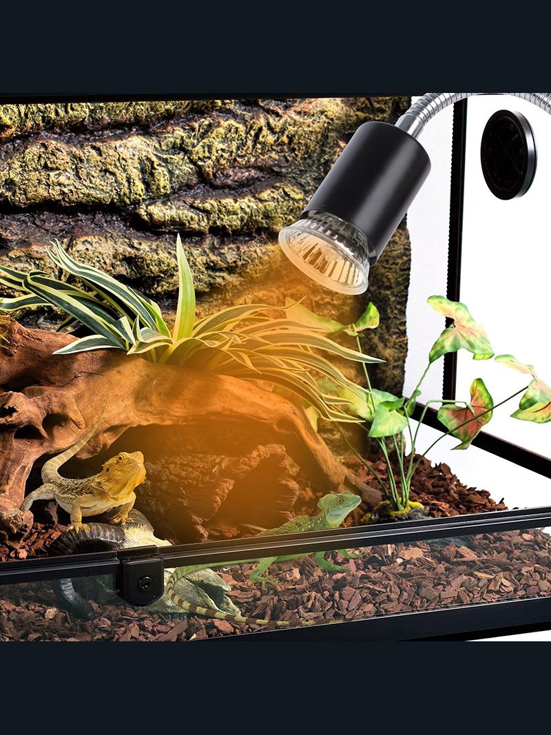 Лампа Для Черепах Красноухих