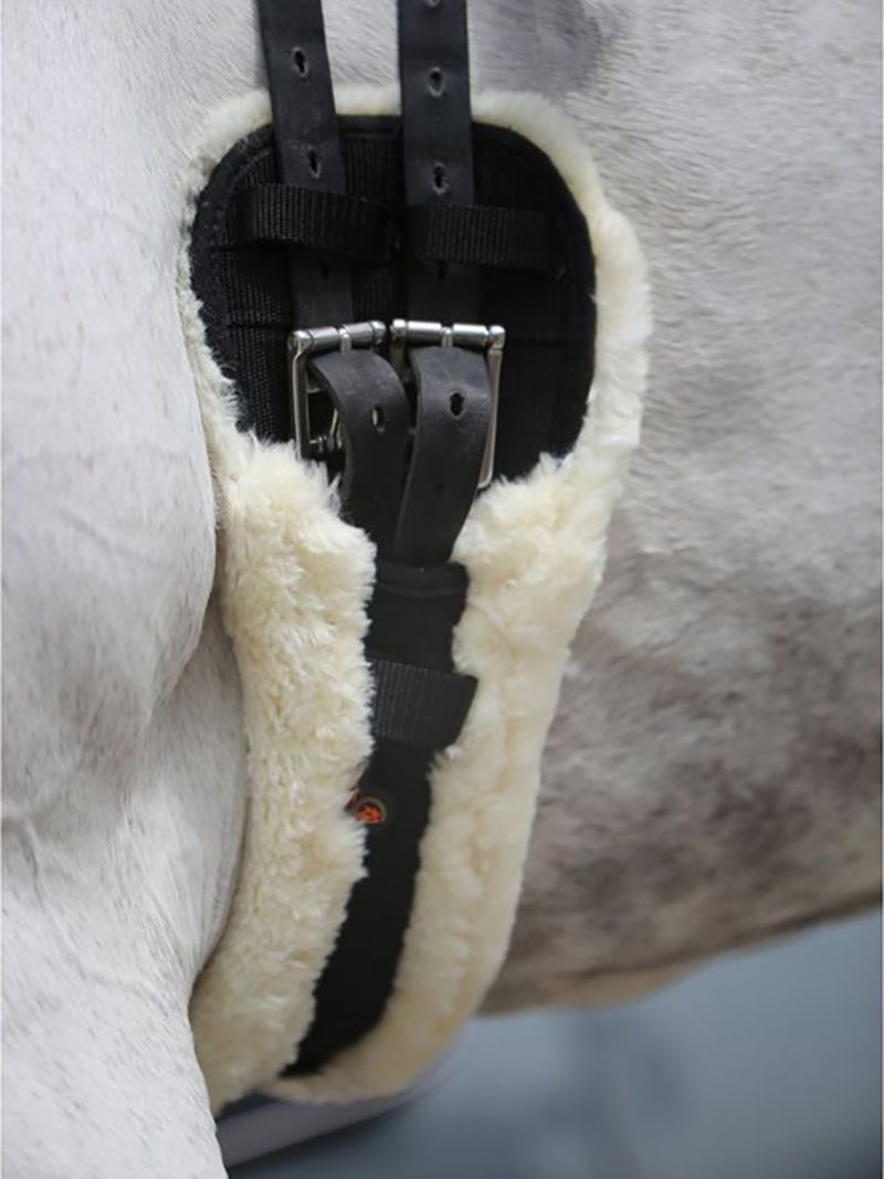 Подпруга Для Лошади