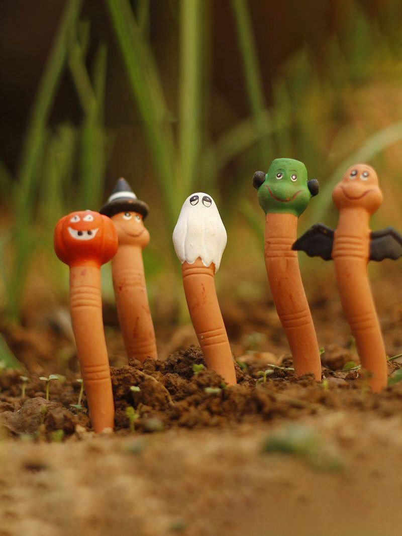 Индикатор Полива Комнатных Растений