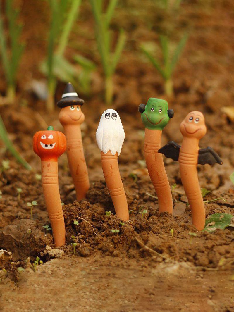 Индикатор Полива Комнатных Растений