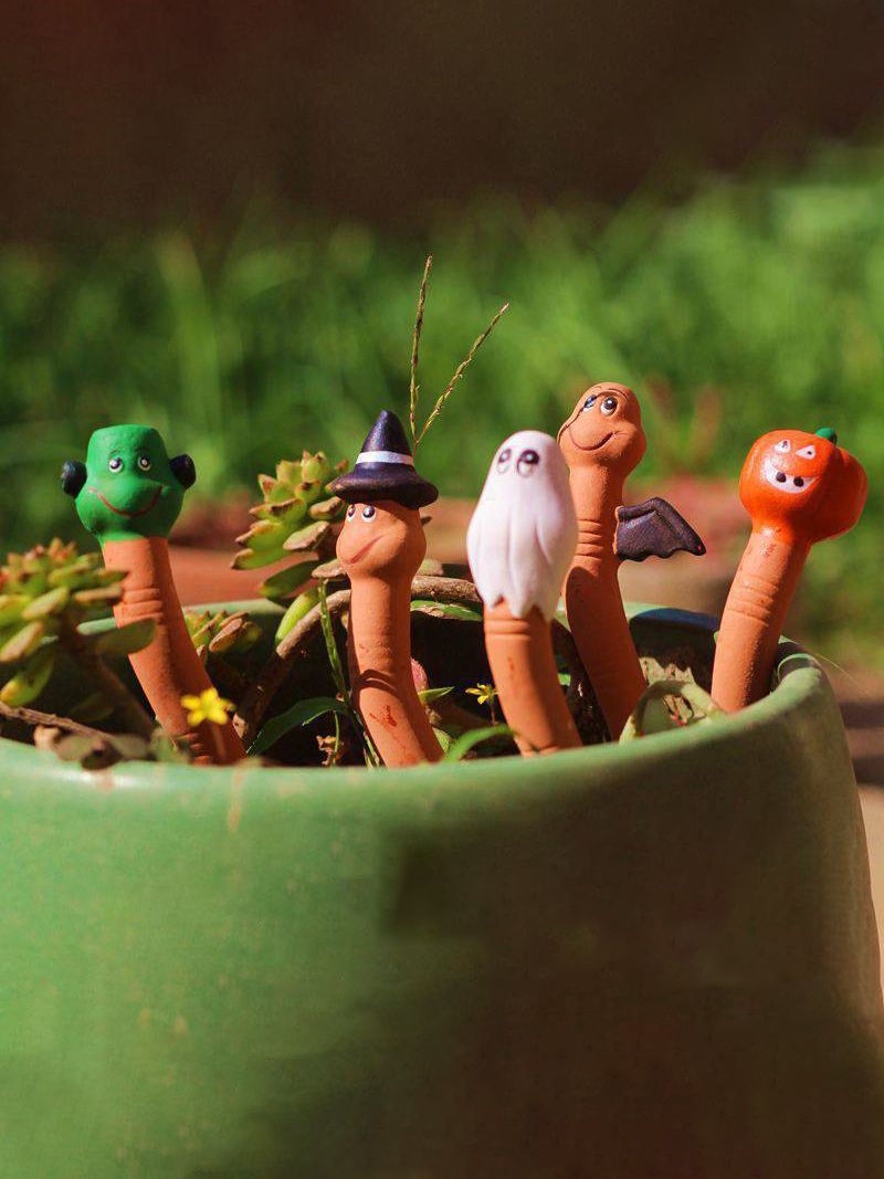 Индикатор Полива Комнатных Растений